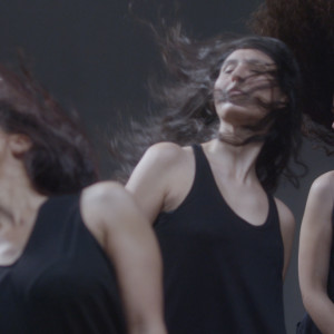 Angelica Mesiti, Untitled.